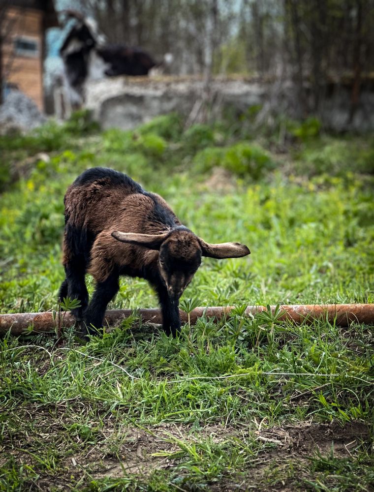 Photograph by Ekaterina Slepneva