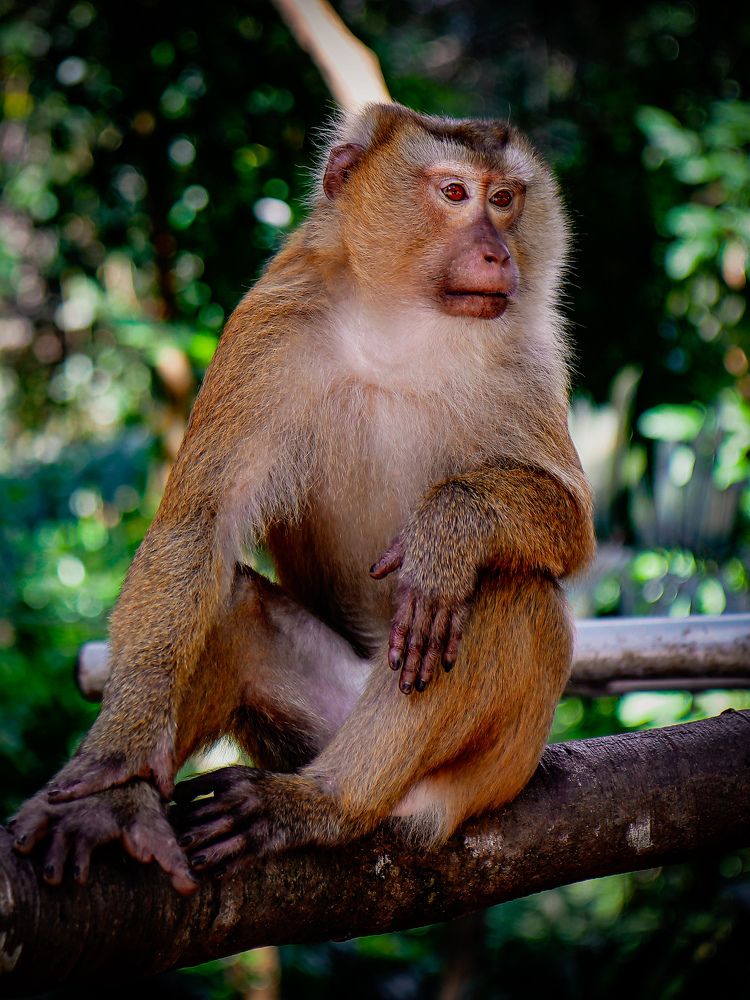 Photograph by Ekaterina Slepneva