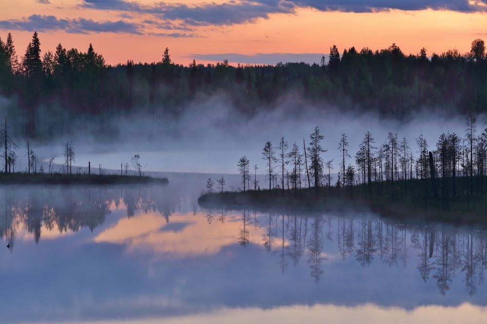 Photograph by Николай Раппу