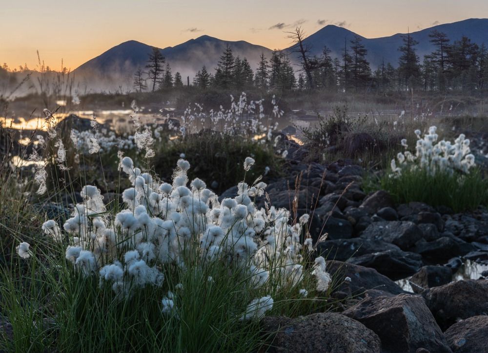 Photograph by Крицак Ольга