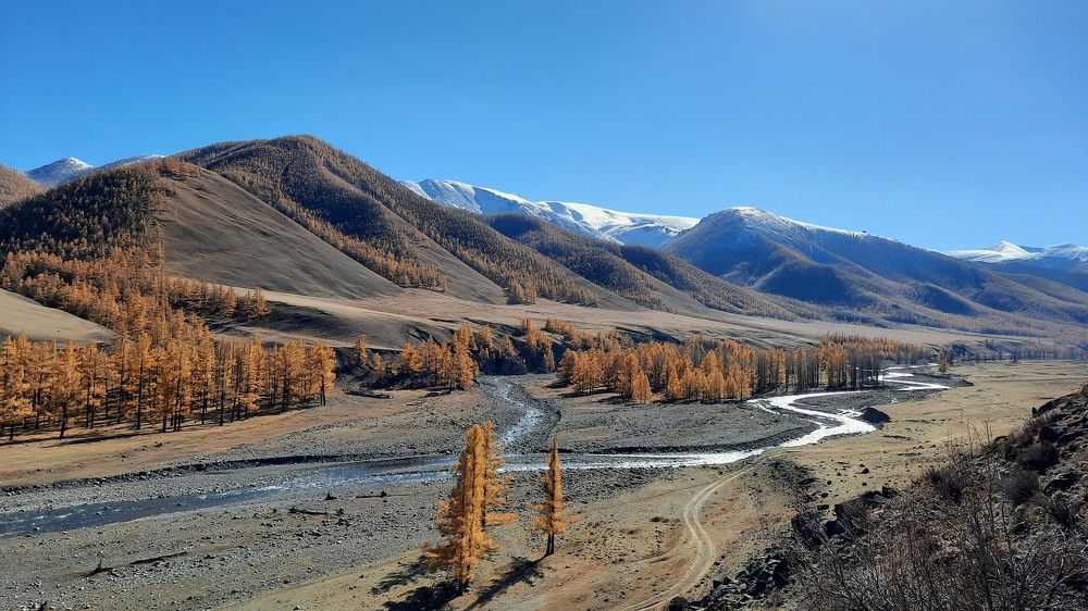 Photograph by Светлана Андреева