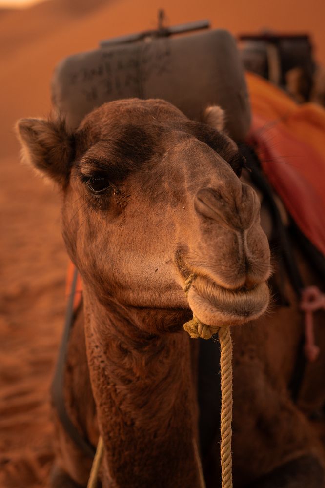 Photograph by Илья Варин