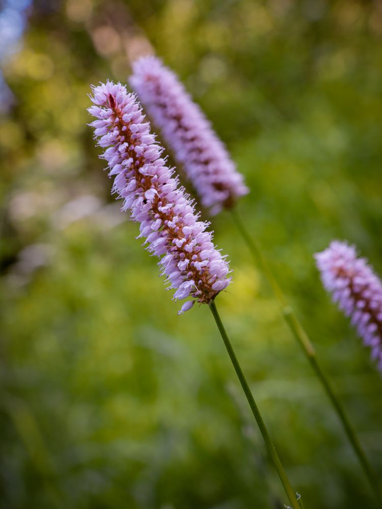 Photograph by Ekaterina Slepneva