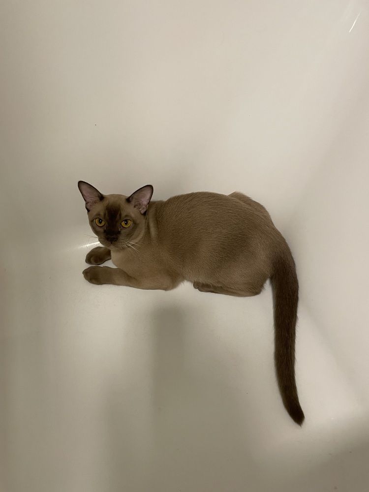 Photograph by Юлия Давшан