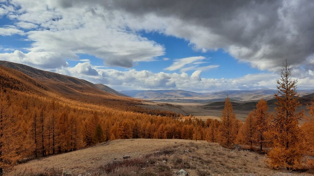 Photograph by Светлана Андреева