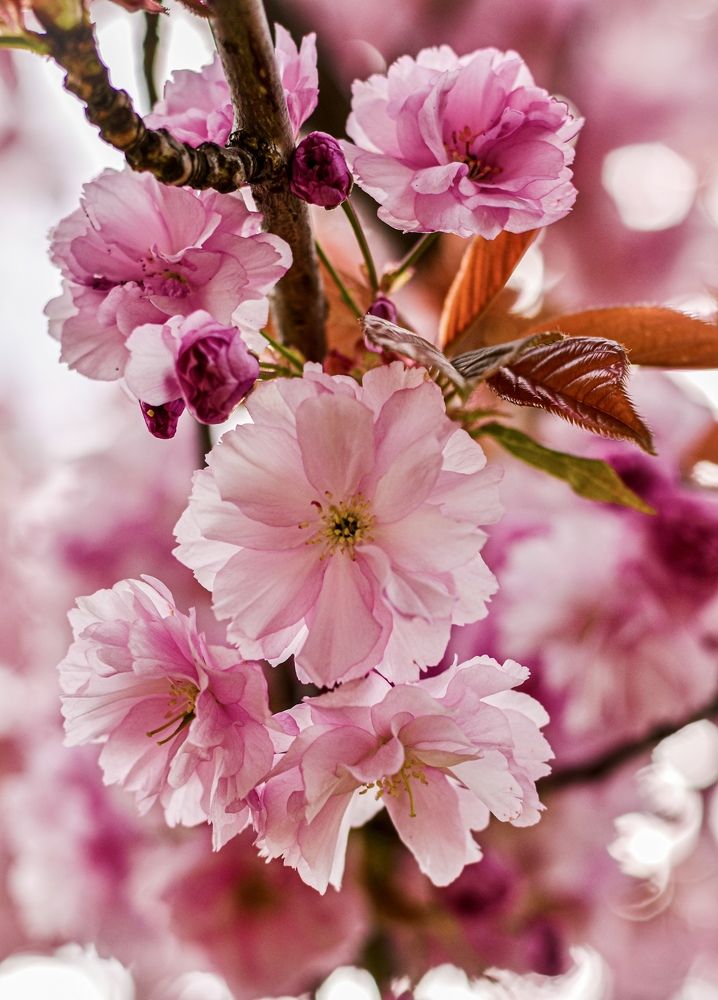 Photograph by Ольга Семина