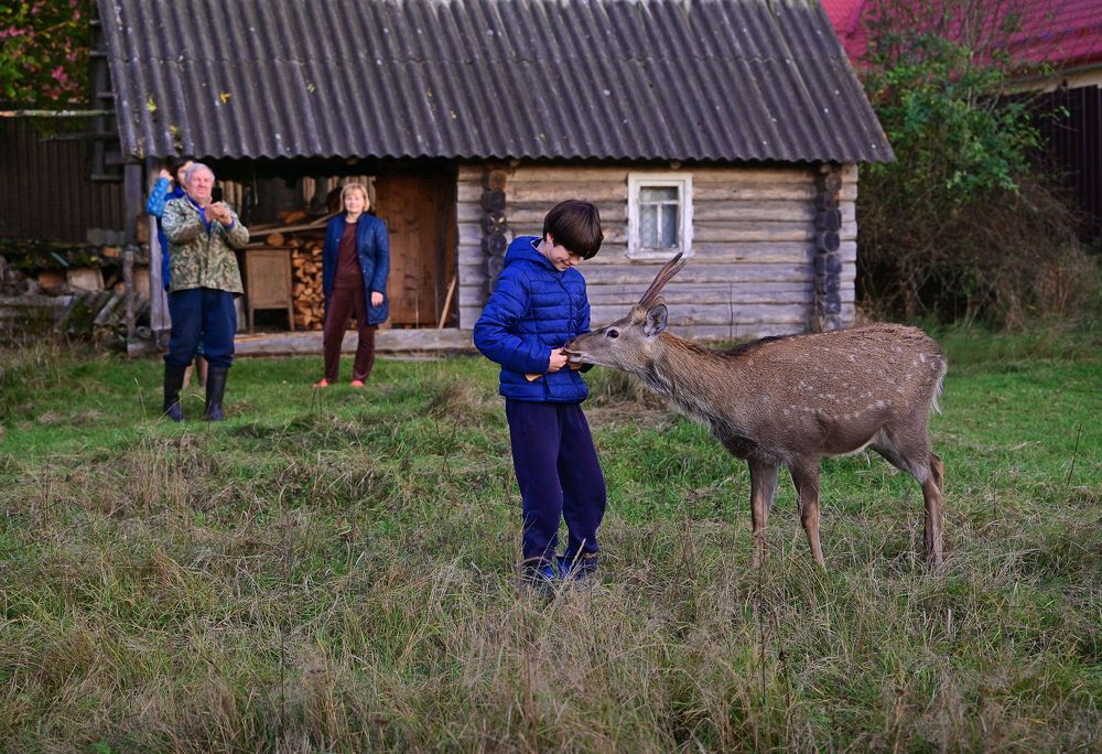 Photograph by Наталья Сергеева