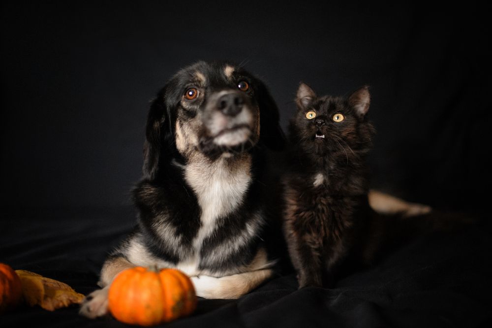 Photograph by Александра Гиль