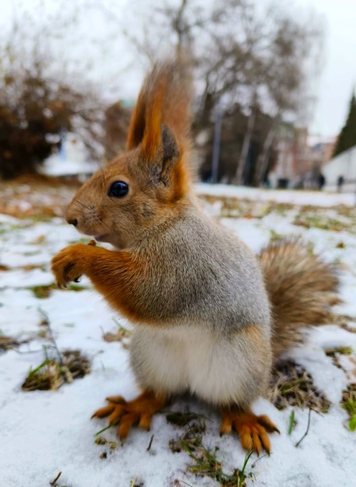 Photograph by Наталья Яковлева
