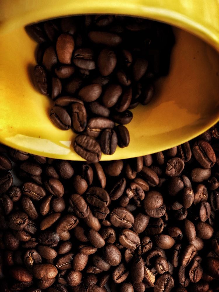 Photograph by Людмила Евстратова