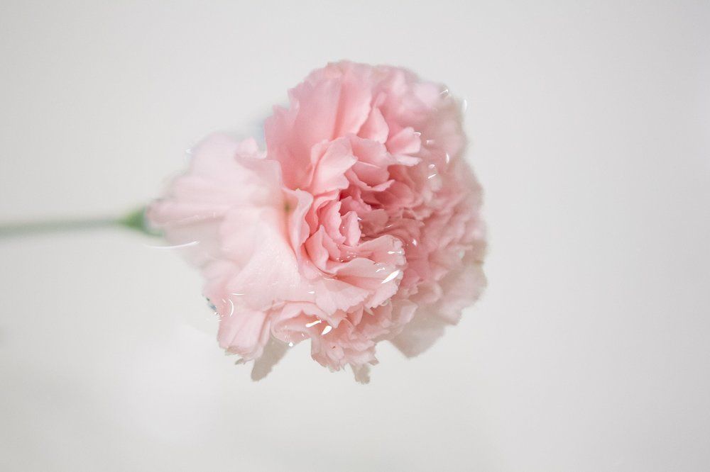 Photograph by Очева Наталья Александровна