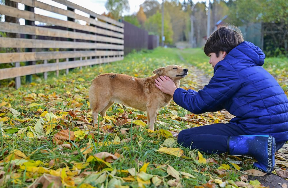 Photograph by Наталья Сергеева