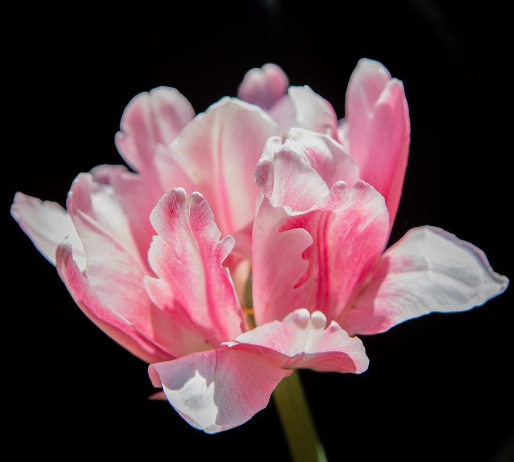 Photograph by Очева Наталья Александровна