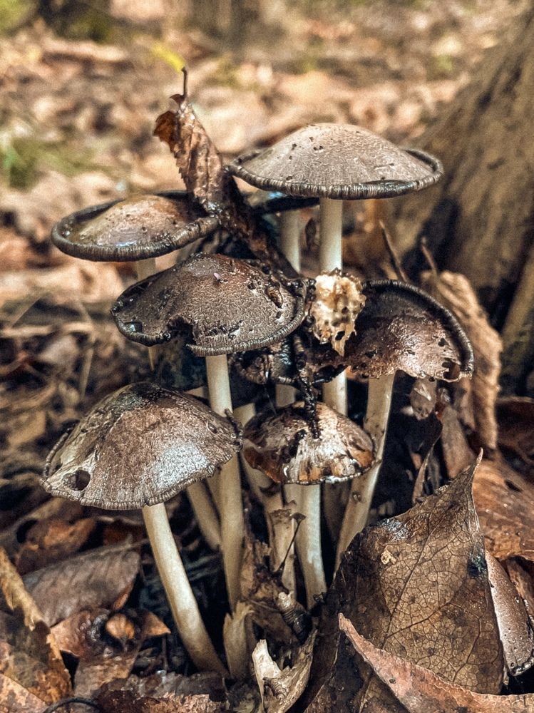 Фотография автора Ольга Каминская