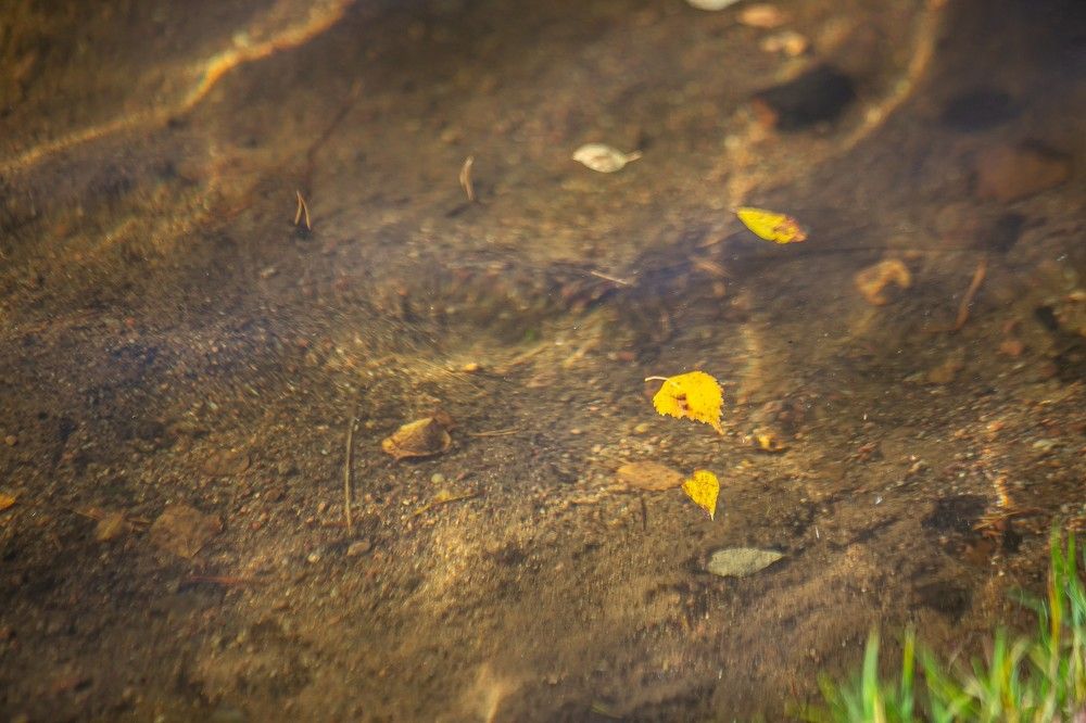 Photograph by Очева Наталья Александровна