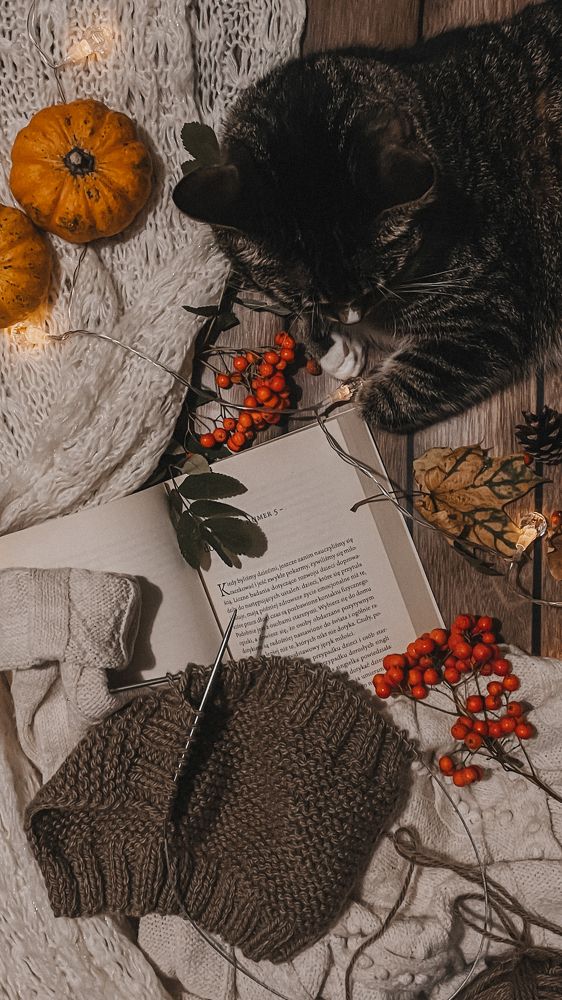 Фотография автора Ольга Каминская