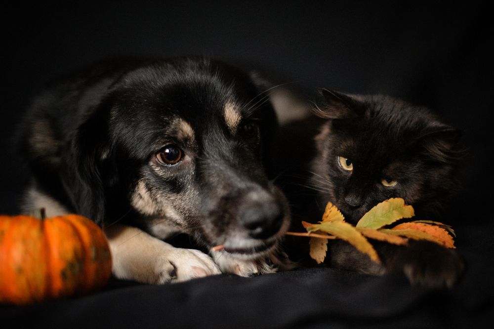 Photograph by Александра Гиль