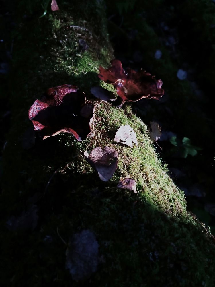 Photograph by Olga Kot