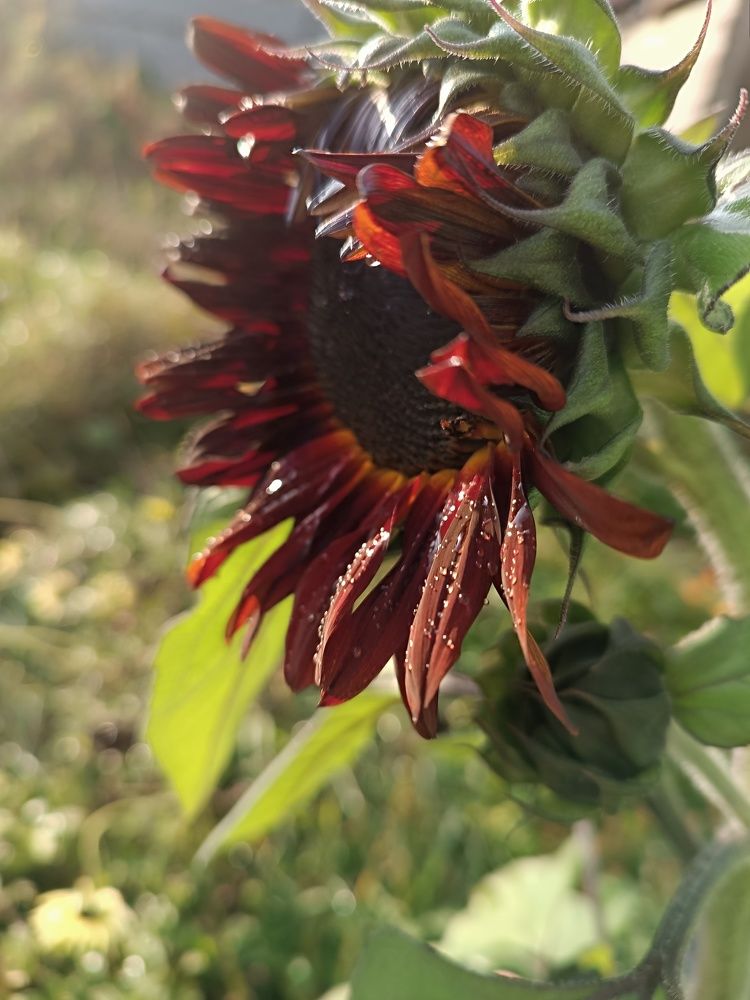 Photograph by Olga Kot