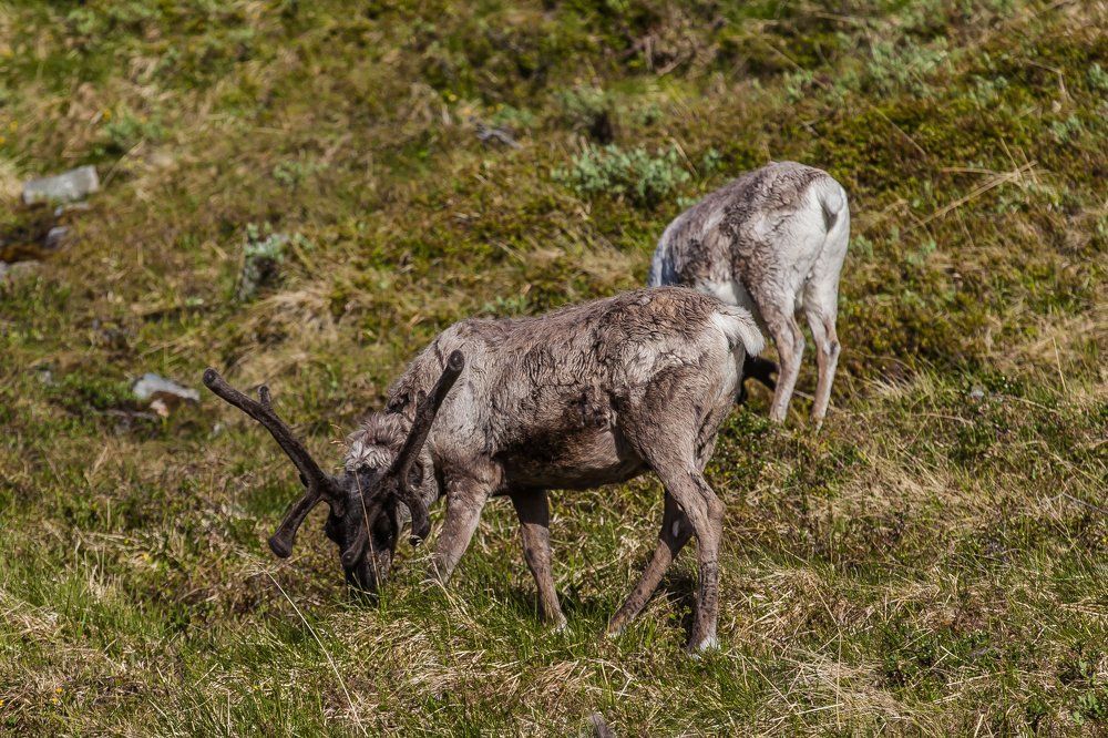 Photograph by Очева Наталья Александровна