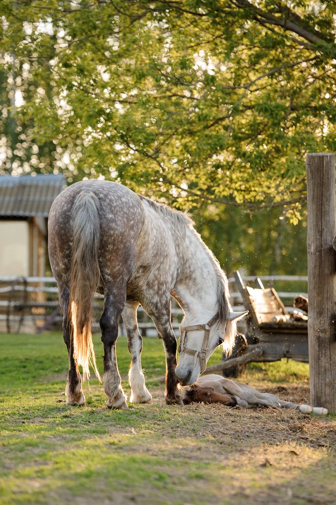 Photograph by Александра Гиль