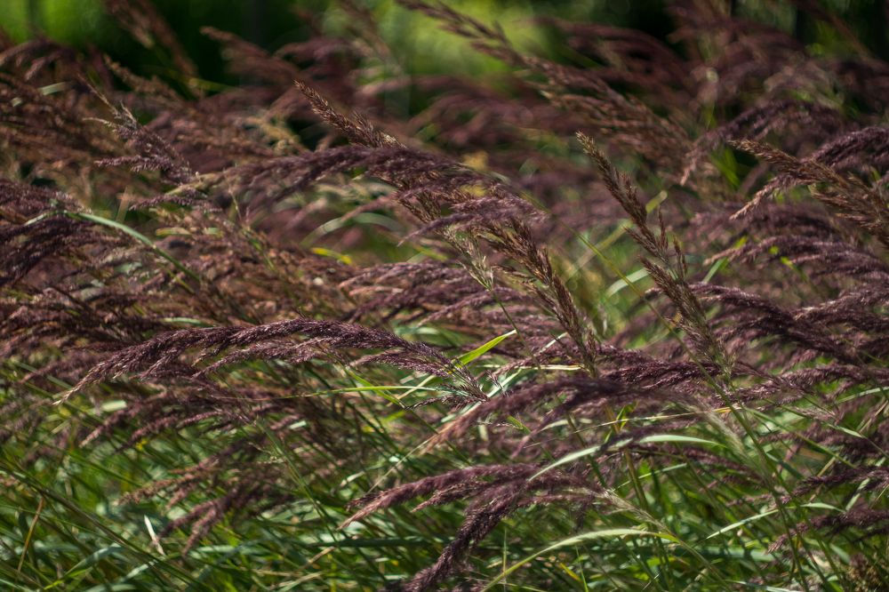 Photograph by Татьяна Байкова