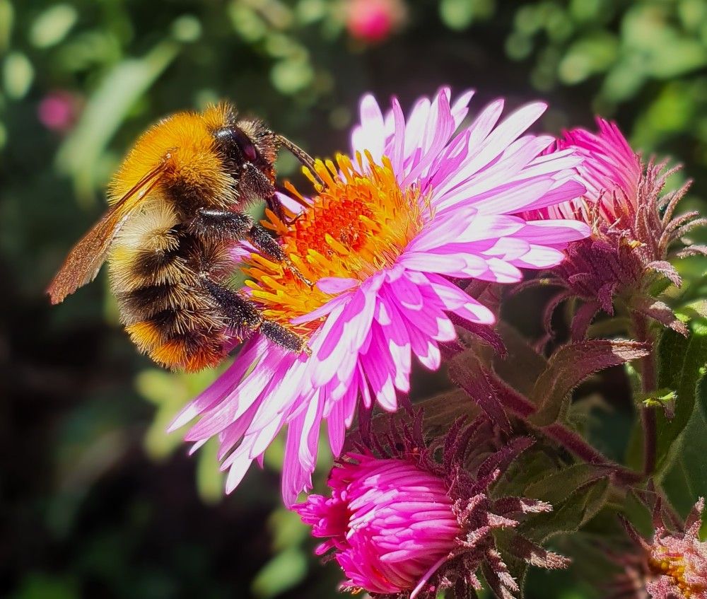 Photograph by Яна Галимуллина