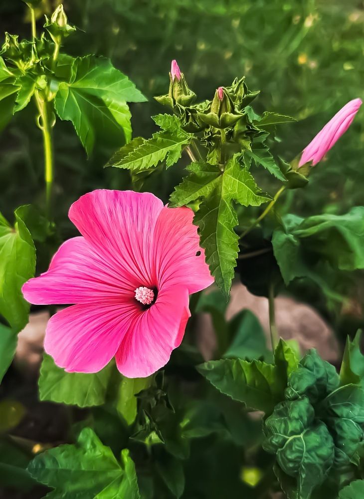 Photograph by Лилия Нурова