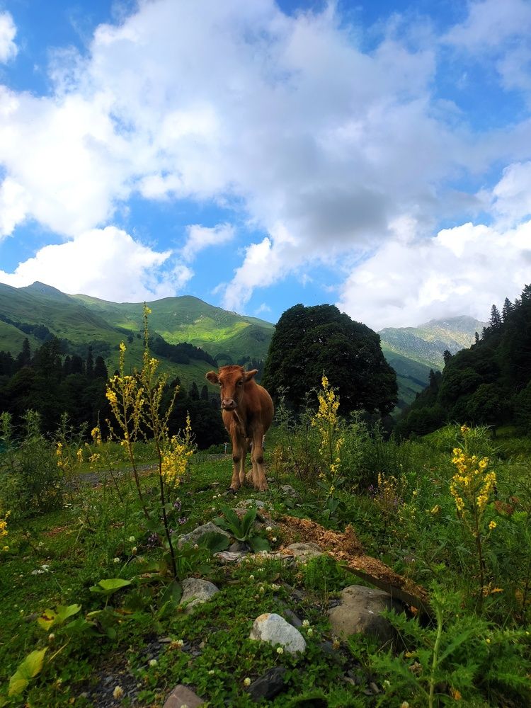 Photograph by Анастасия Алтабаева