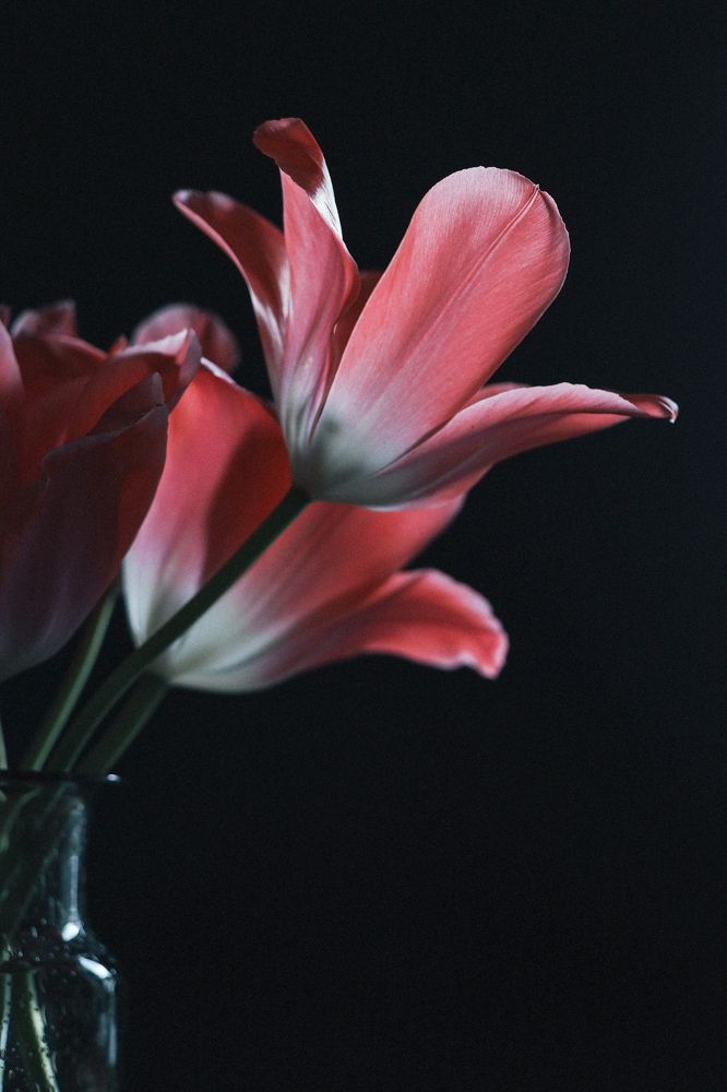 Photograph by Евгения Гудкова