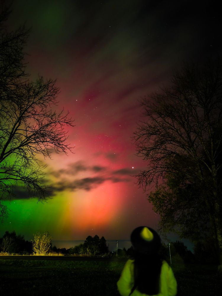 Фотография автора Алиса Исаева