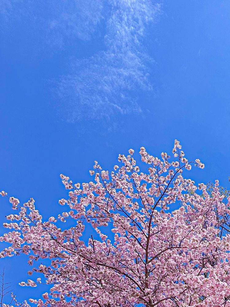 Photograph by Дина Чехова