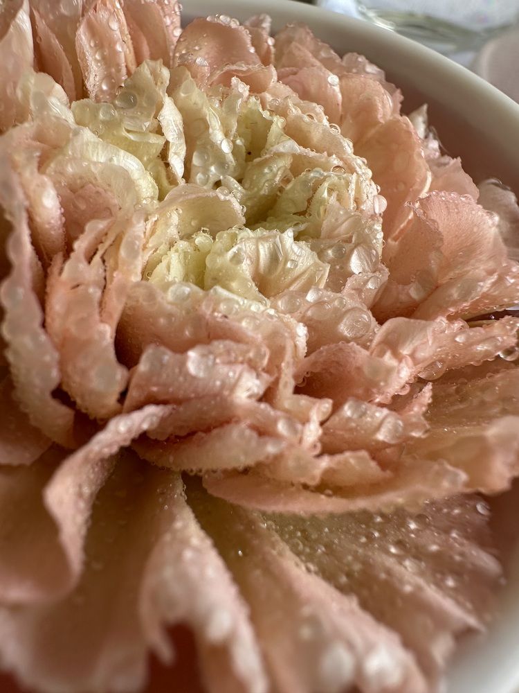 Photograph by Дина Чехова