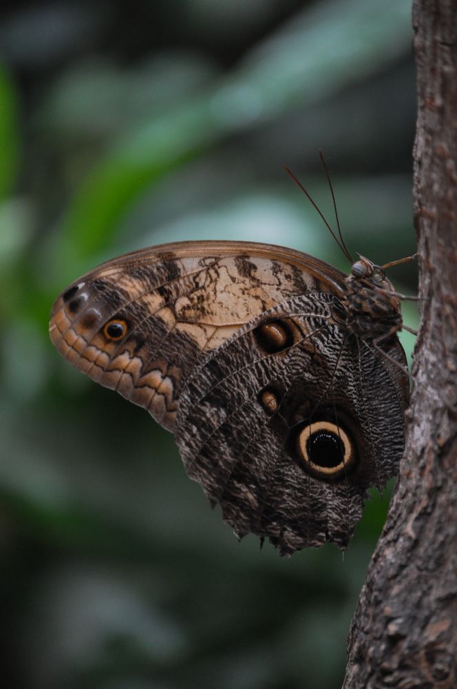 Photograph by Галина Лысых