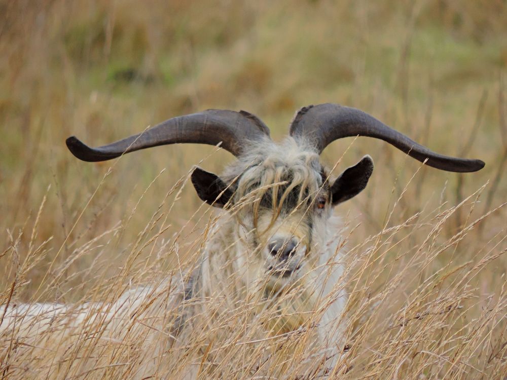 Photograph by Мария Широких