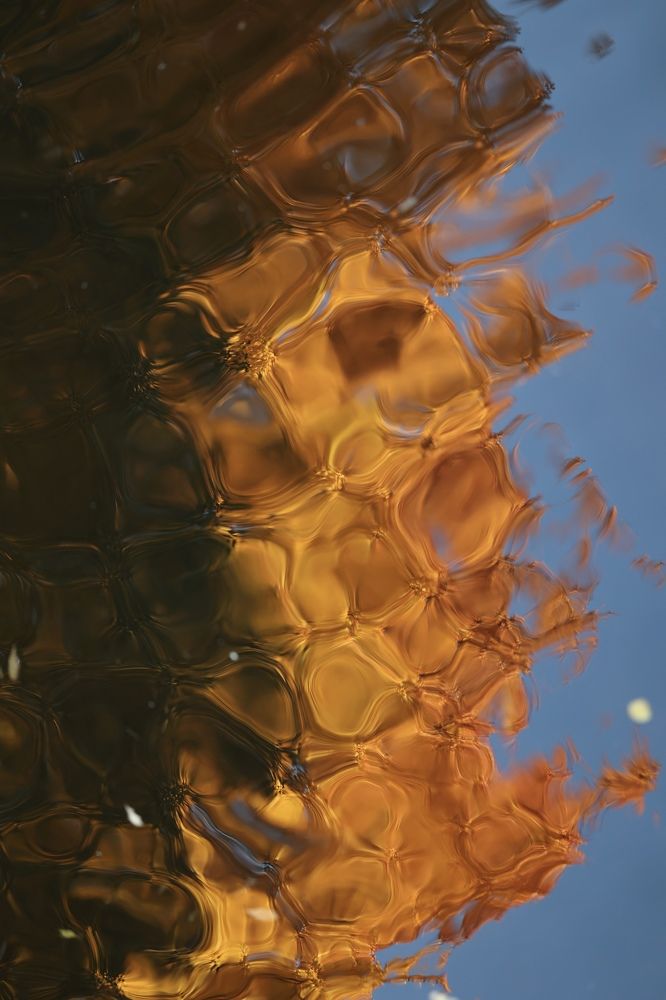 Photograph by Alina Efimova