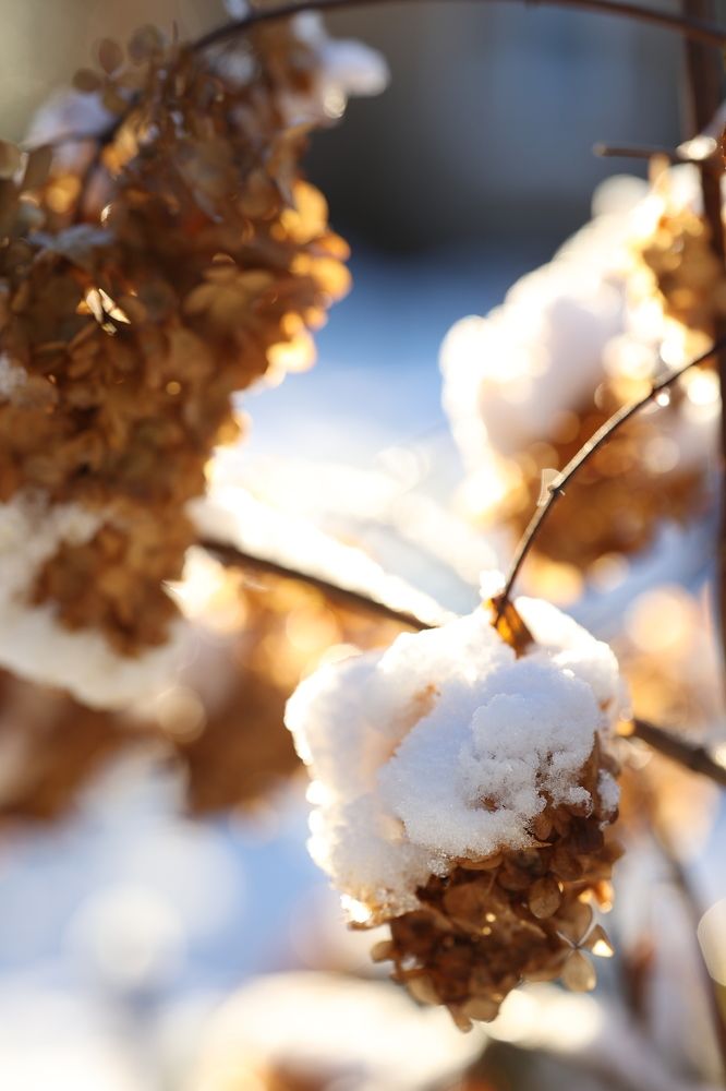 Фотография автора Alina Efimova