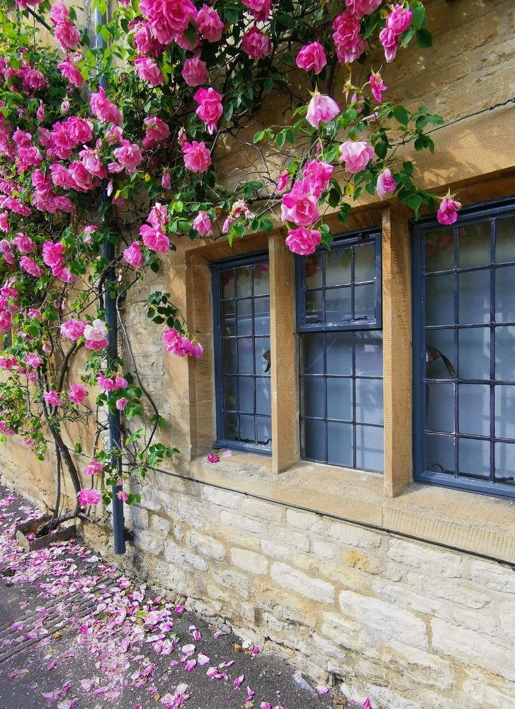 Photograph by Ингрида Кузнецова