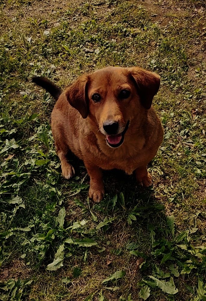 Photograph by Ия Дирко