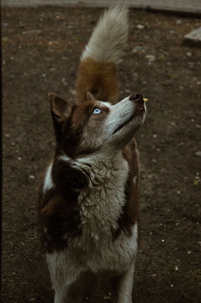 Photograph by Марина Маркина