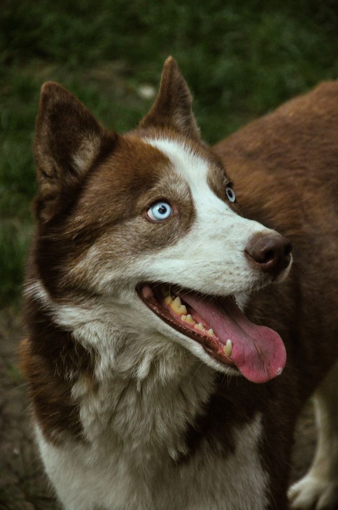 Photograph by Марина Маркина