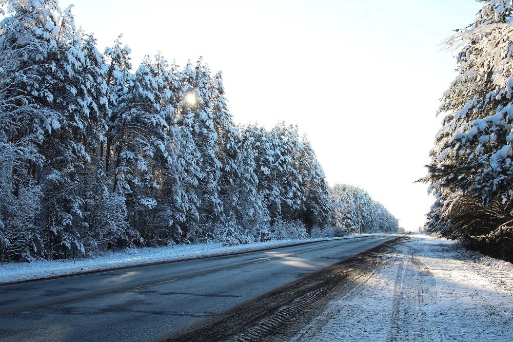Photograph by Виктория Сивакова
