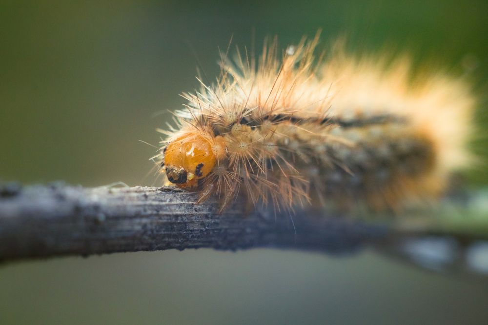 Photograph by Ангелина Высочина