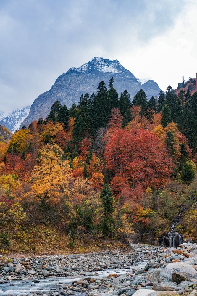 Фотография автора Светлана Зимина