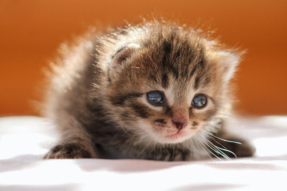 Photograph by Ангелина Высочина