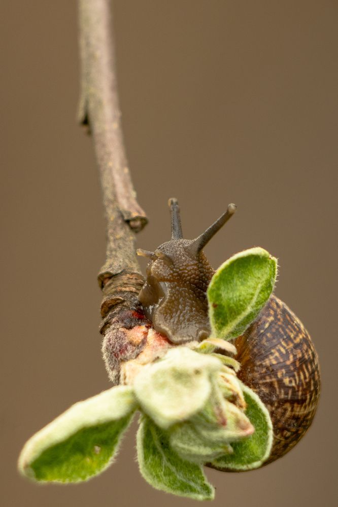 Photograph by Ангелина Высочина