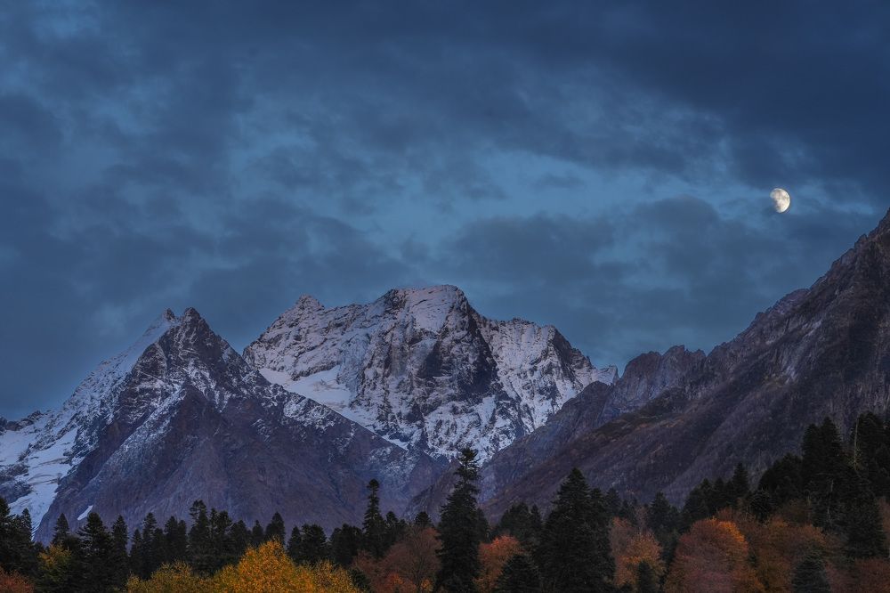 Фотография автора Светлана Зимина
