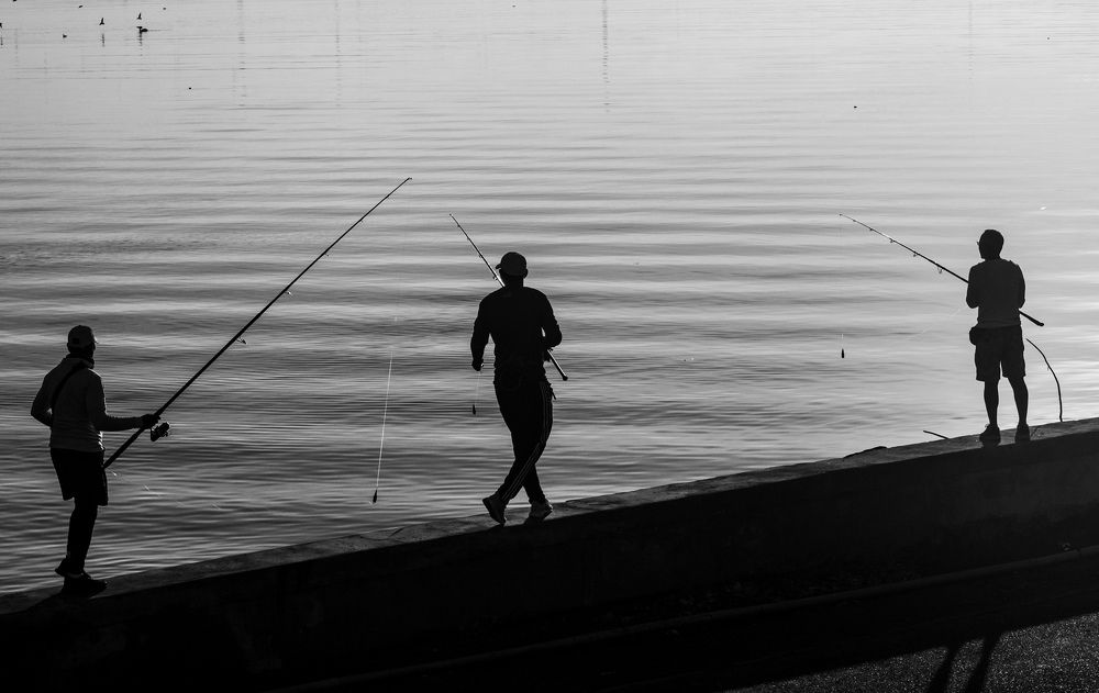 Photograph by Evelyn Carnot Montes