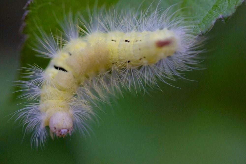Фотография автора Ираида Гайфуллина