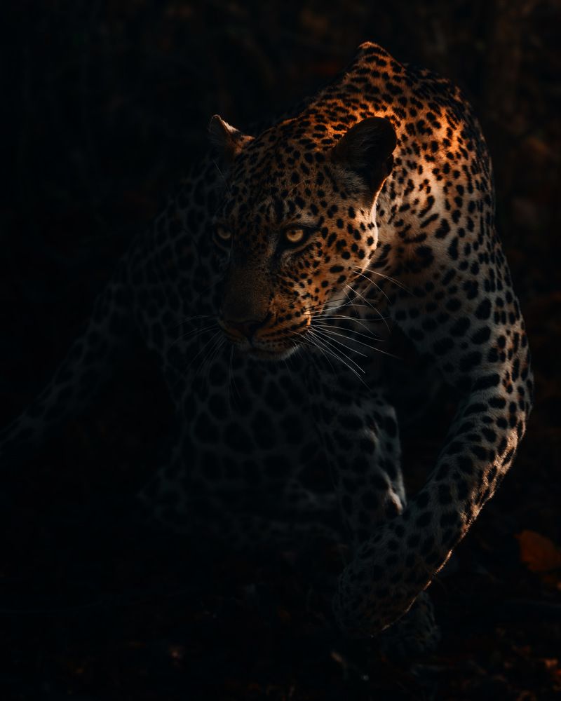 Photograph by Chris Stavrakas